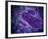 Conceptual Image of Helicobacter-null-Framed Art Print