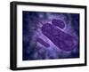 Conceptual Image of Helicobacter-null-Framed Art Print