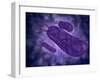 Conceptual Image of Helicobacter-null-Framed Art Print