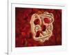 Conceptual Image of Hemoglobin and Red Blood Cells-null-Framed Art Print