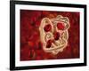 Conceptual Image of Hemoglobin and Red Blood Cells-null-Framed Art Print