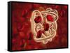 Conceptual Image of Hemoglobin and Red Blood Cells-null-Framed Stretched Canvas