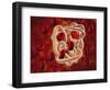 Conceptual Image of Hemoglobin and Red Blood Cells-null-Framed Art Print