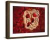 Conceptual Image of Hemoglobin and Red Blood Cells-null-Framed Art Print