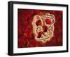 Conceptual Image of Hemoglobin and Red Blood Cells-null-Framed Art Print