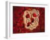 Conceptual Image of Hemoglobin and Red Blood Cells-null-Framed Art Print