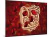 Conceptual Image of Hemoglobin and Red Blood Cells-null-Mounted Art Print
