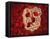 Conceptual Image of Hemoglobin and Red Blood Cells-null-Framed Stretched Canvas