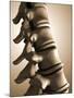 Conceptual Image of Human Backbone-null-Mounted Art Print