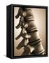 Conceptual Image of Human Backbone-null-Framed Stretched Canvas
