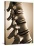 Conceptual Image of Human Backbone-null-Stretched Canvas