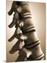 Conceptual Image of Human Backbone-null-Mounted Art Print