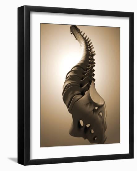 Conceptual Image of Human Backbone-null-Framed Art Print