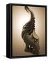 Conceptual Image of Human Backbone-null-Framed Stretched Canvas