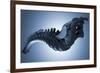 Conceptual Image of Human Backbone-null-Framed Art Print