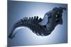 Conceptual Image of Human Backbone-null-Mounted Art Print