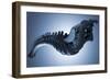 Conceptual Image of Human Backbone-null-Framed Art Print