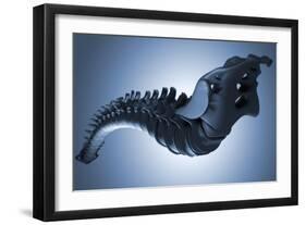 Conceptual Image of Human Backbone-null-Framed Art Print