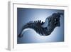 Conceptual Image of Human Backbone-null-Framed Art Print