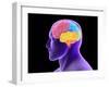 Conceptual Image of Human Brain-Stocktrek Images-Framed Photographic Print