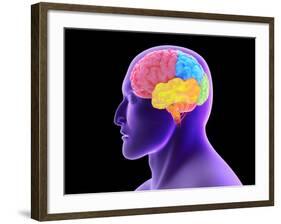 Conceptual Image of Human Brain-Stocktrek Images-Framed Photographic Print