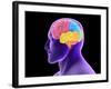 Conceptual Image of Human Brain-Stocktrek Images-Framed Photographic Print