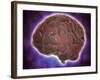 Conceptual Image of Human Brain-null-Framed Art Print