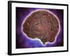 Conceptual Image of Human Brain-null-Framed Art Print