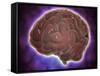 Conceptual Image of Human Brain-null-Framed Stretched Canvas