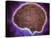 Conceptual Image of Human Brain-null-Stretched Canvas