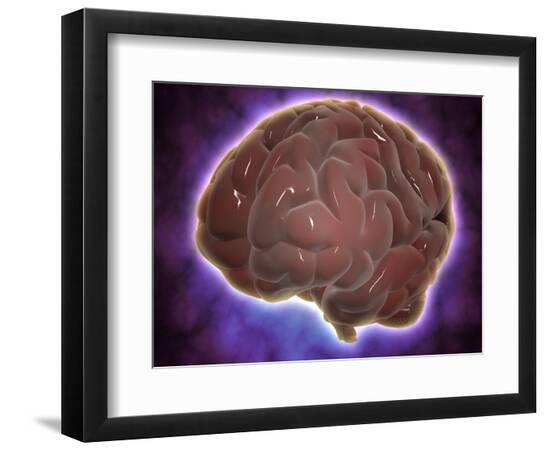 Art Print, , large