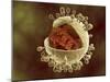 Conceptual Image of Human Cytomegalovirus-null-Mounted Art Print