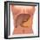 Conceptual Image of Human Digestive System in Female Body-null-Framed Art Print