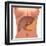 Conceptual Image of Human Digestive System in Female Body-null-Framed Art Print