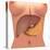 Conceptual Image of Human Digestive System in Female Body-null-Stretched Canvas