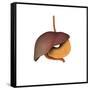 Conceptual Image of Human Digestive System-null-Framed Stretched Canvas