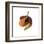 Conceptual Image of Human Digestive System-null-Framed Art Print