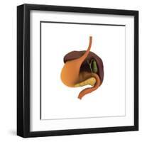 Conceptual Image of Human Digestive System-null-Framed Art Print