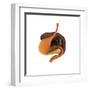 Conceptual Image of Human Digestive System-null-Framed Art Print