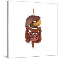 Conceptual Image of Human Digestive System-null-Stretched Canvas