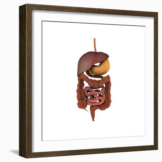 Conceptual Image of Human Digestive System-null-Framed Premium Giclee Print