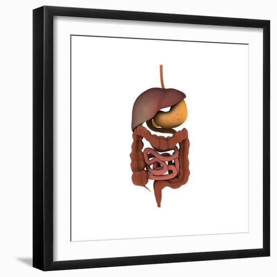 Conceptual Image of Human Digestive System-null-Framed Premium Giclee Print