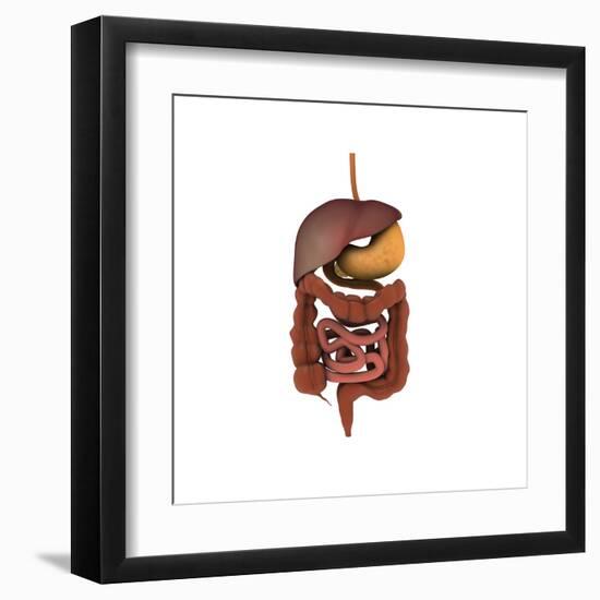 Conceptual Image of Human Digestive System-null-Framed Art Print