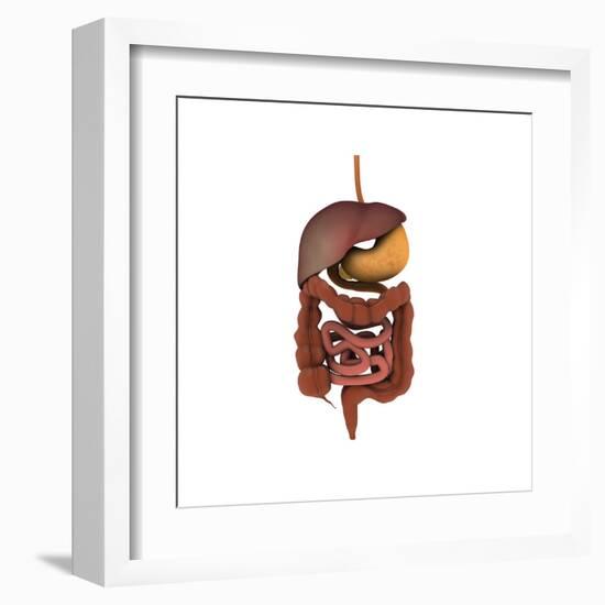 Conceptual Image of Human Digestive System-null-Framed Art Print