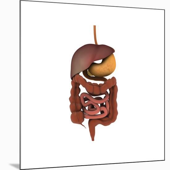 Conceptual Image of Human Digestive System-null-Mounted Art Print