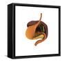 Conceptual Image of Human Digestive System-null-Framed Stretched Canvas