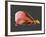 Conceptual Image of Human Eye Anatomy-null-Framed Art Print