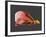 Conceptual Image of Human Eye Anatomy-null-Framed Art Print