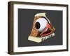 Conceptual Image of Human Eye Anatomy-null-Framed Art Print