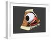 Conceptual Image of Human Eye Anatomy-null-Framed Art Print